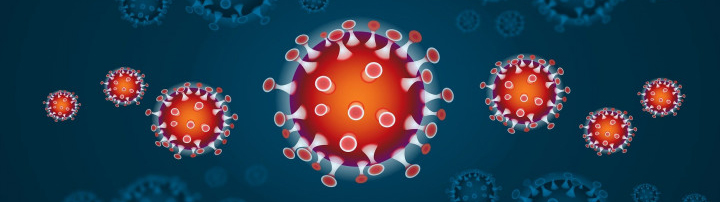 Koronavirus 2.jpg